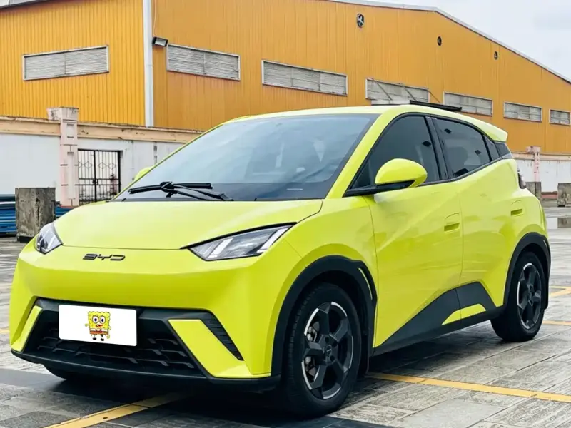 BYD Seagull