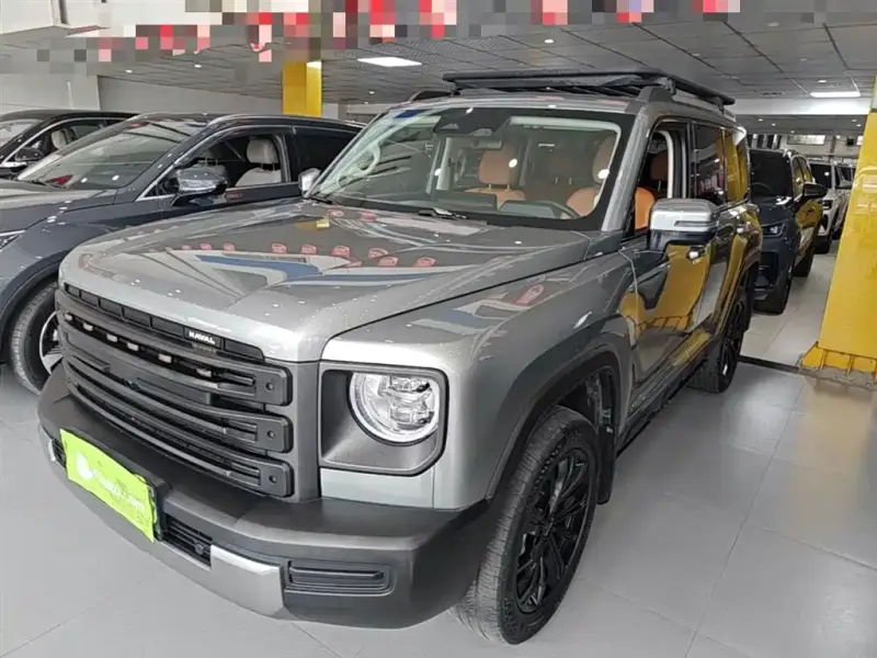 Haval Menglong New Energy