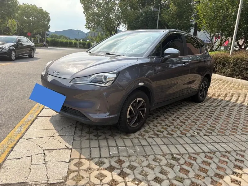 Neta V