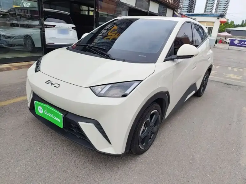 BYD Seagull