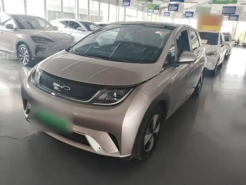 BYD Dolphin