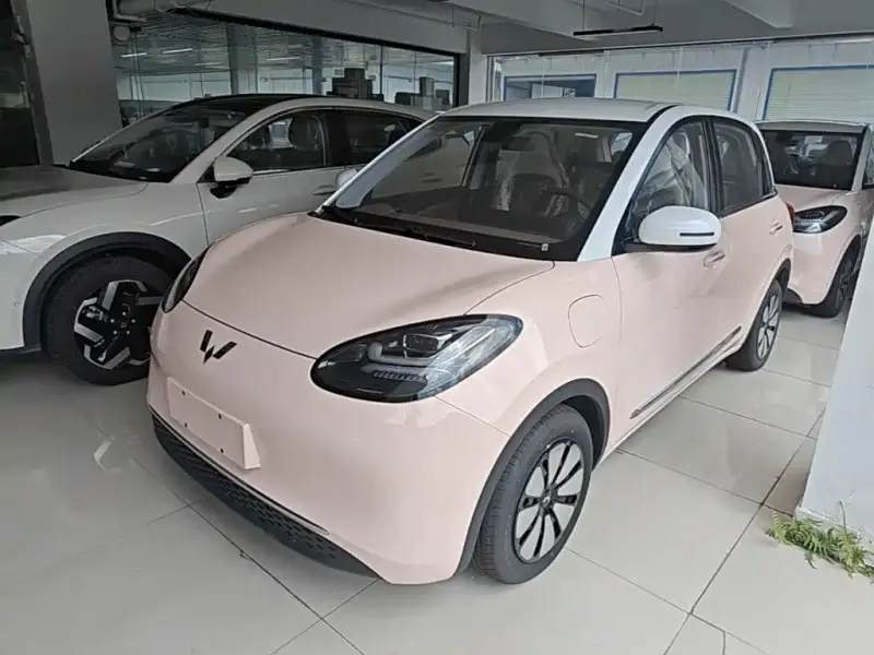 Wuling Bingo