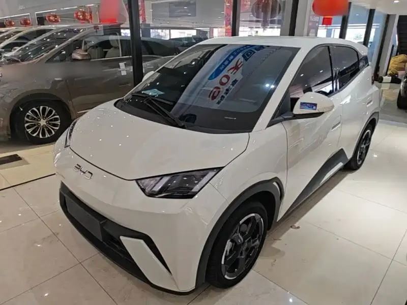 BYD Seagull