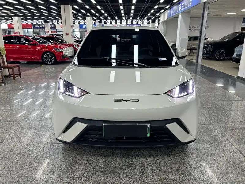 BYD Seagull