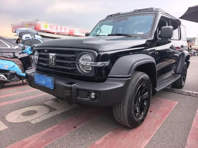 Tank 300