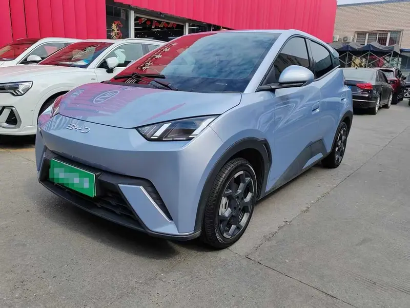 BYD Seagull