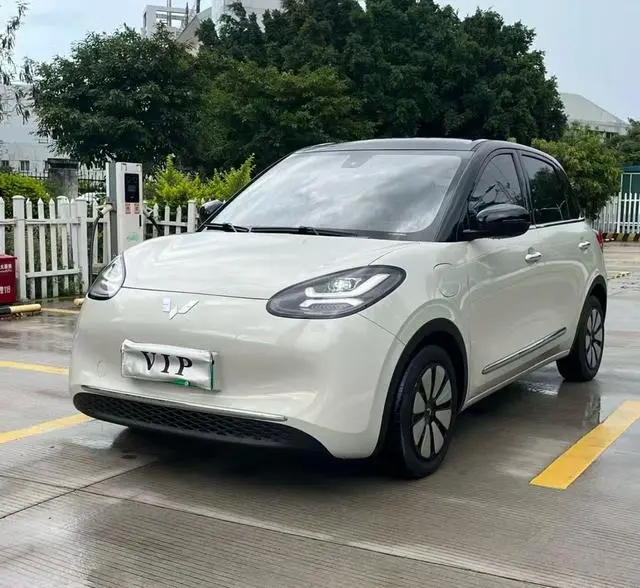Wuling Bingo