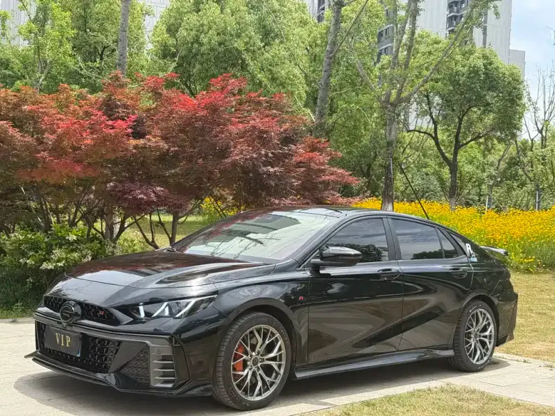 GAC Motor Empow (Shadow Leopard)