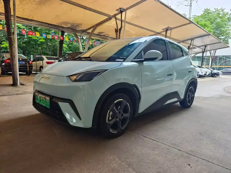 BYD Seagull