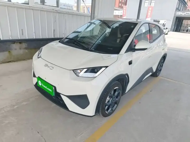 BYD Seagull