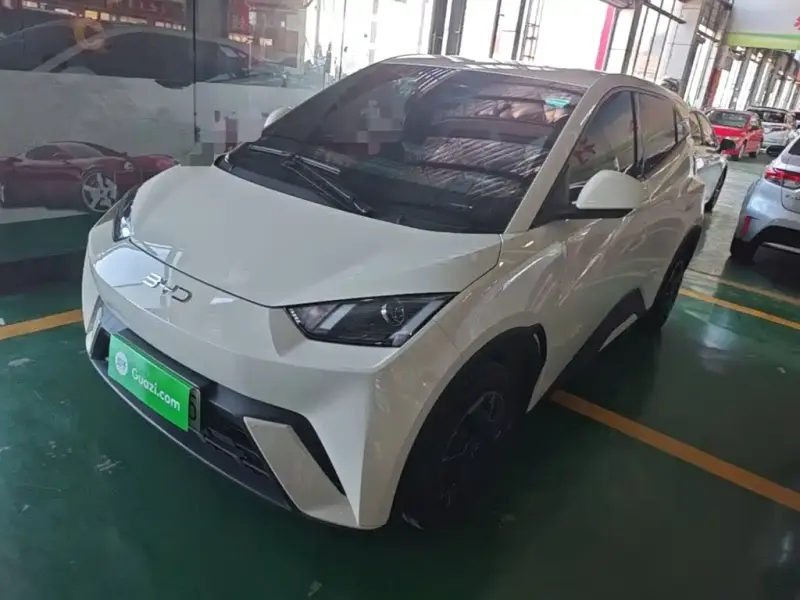 BYD Seagull