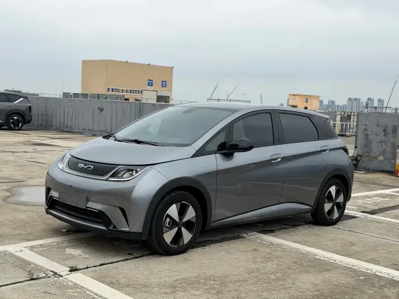BYD Dolphin