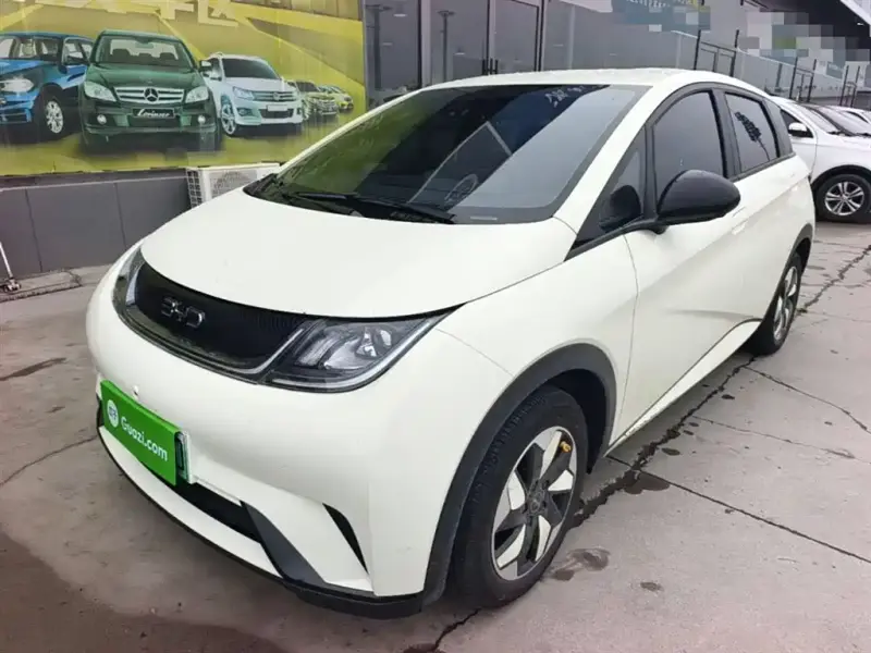 BYD Dolphin