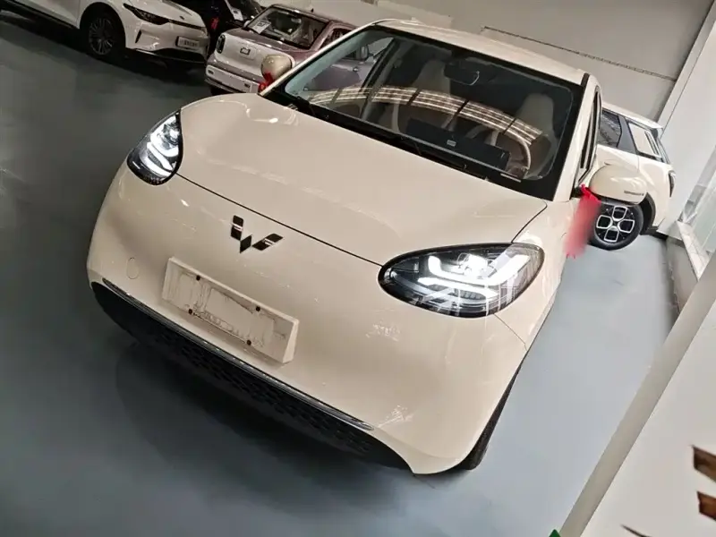 Wuling Bingo