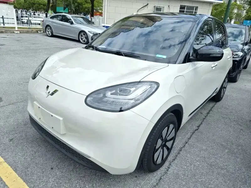 Wuling Bingo