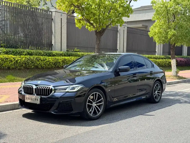 BMW 5 Series (Import)
