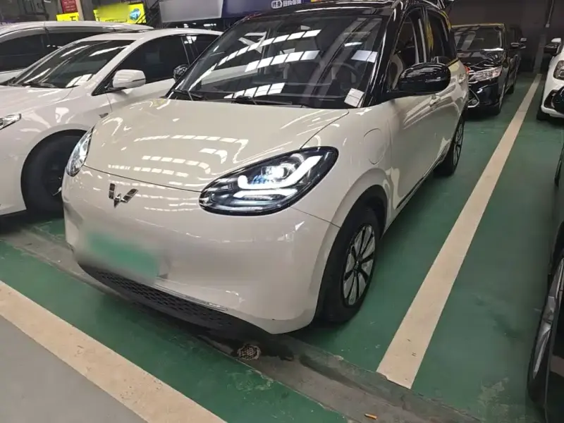 Wuling Bingo