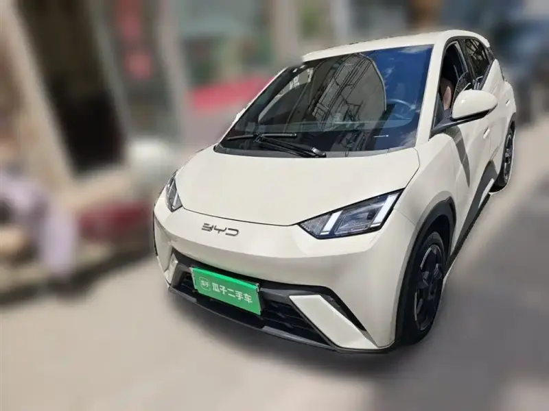 BYD Seagull