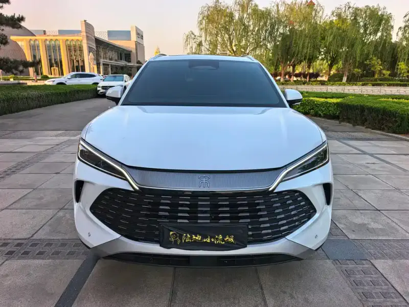 BYD L DM-i