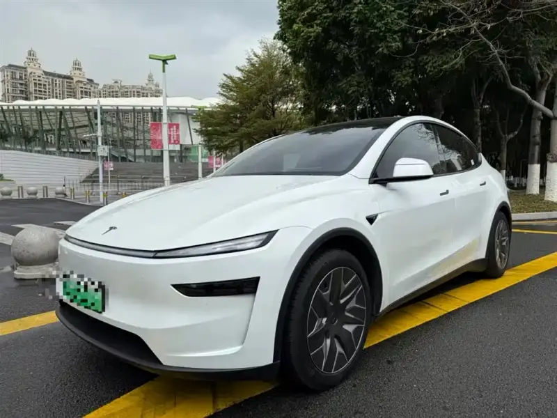 Tesla Model Y L