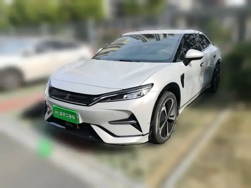 BYD L EV