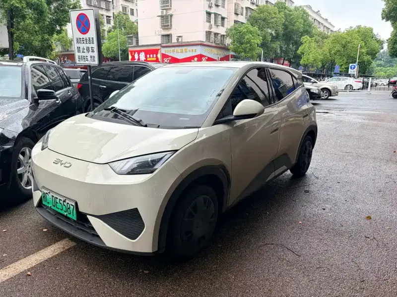 BYD Seagull