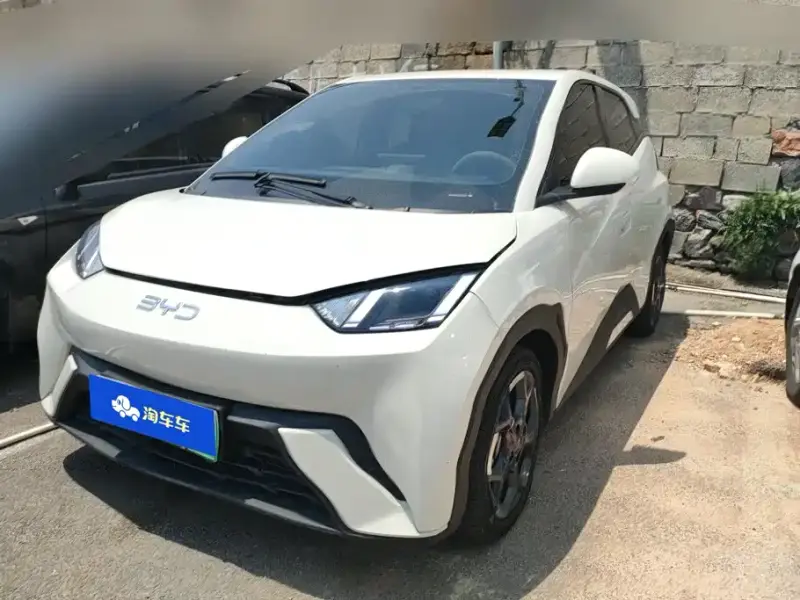 BYD Seagull