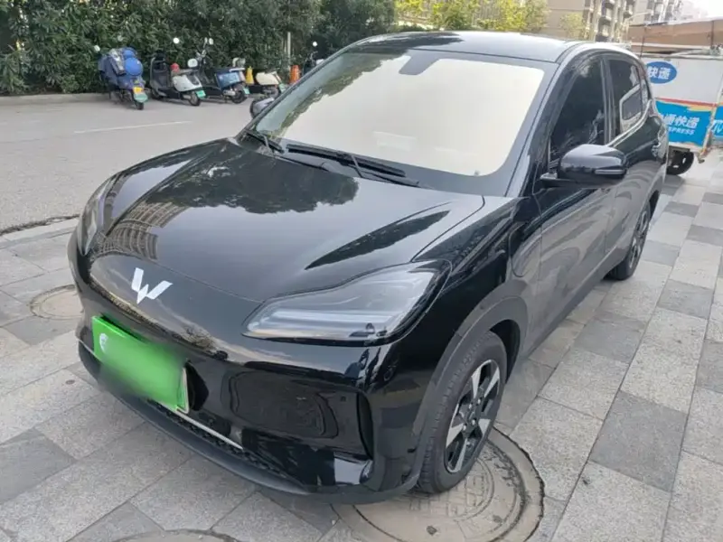 Wuling Bingo PLUS