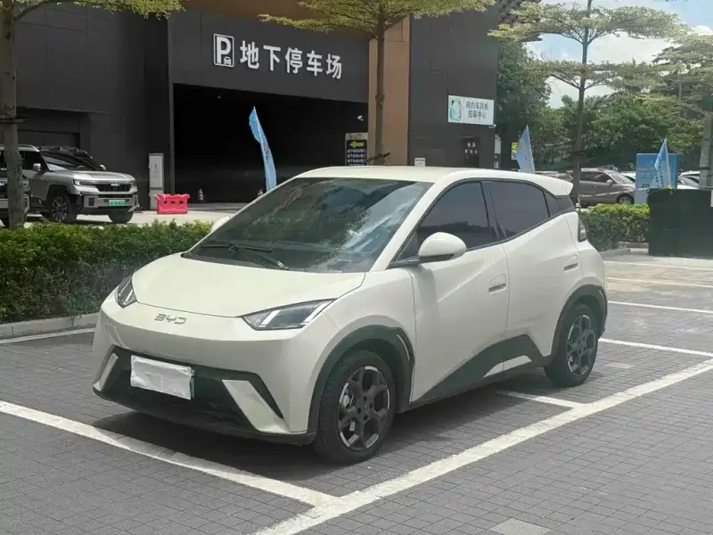 BYD Seagull