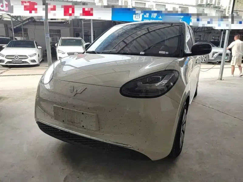 Wuling Bingo