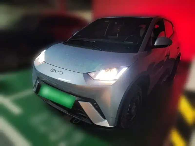 BYD Seagull
