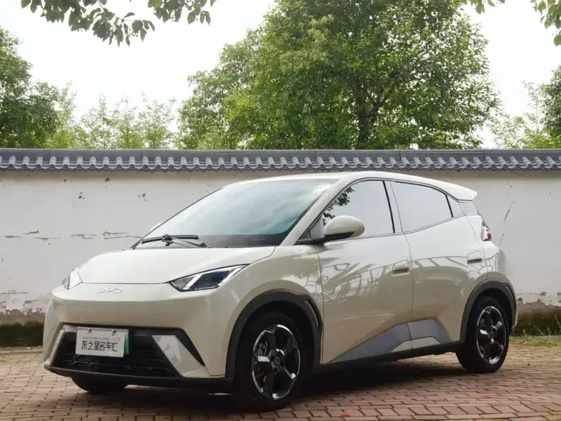 BYD Seagull