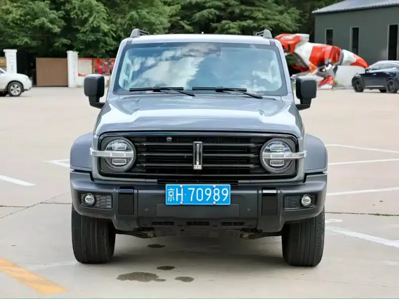 Tank 300