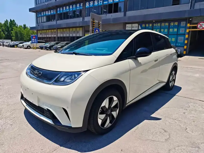 BYD Dolphin