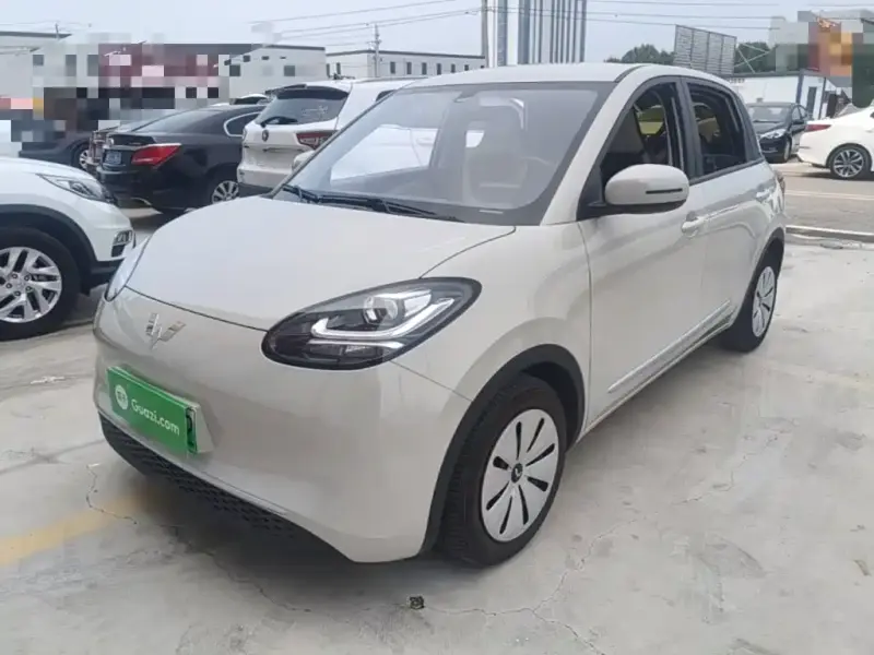 Wuling Bingo