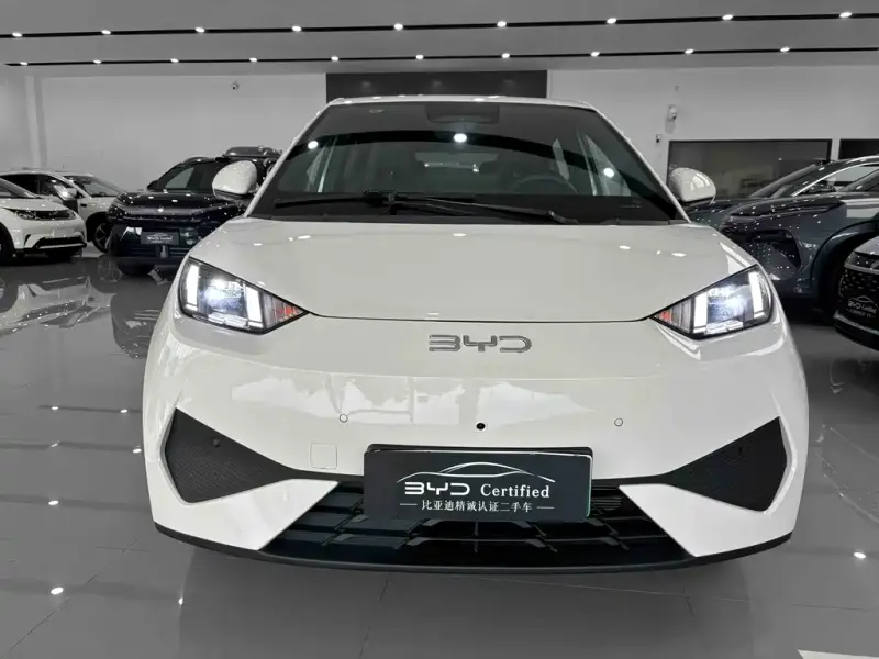 BYD Seagull