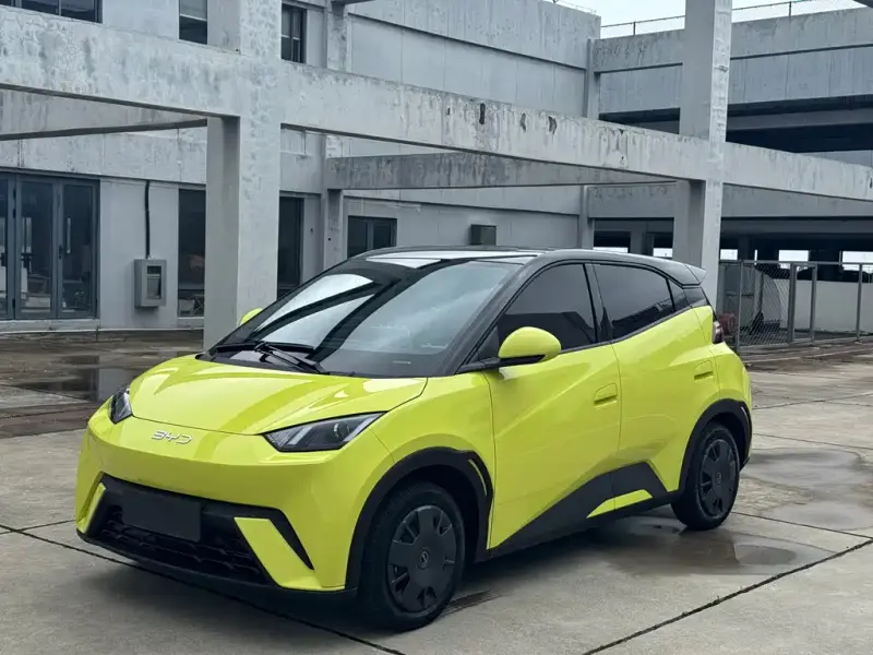 BYD Seagull