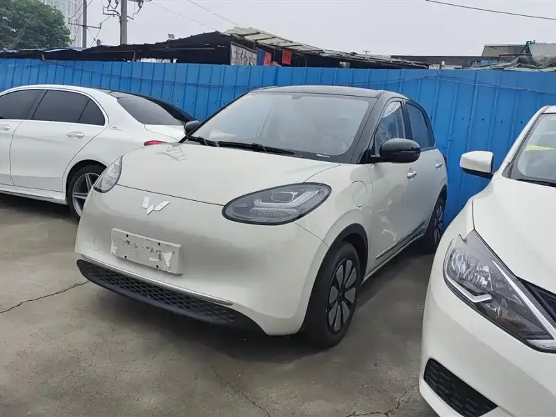 Wuling Bingo