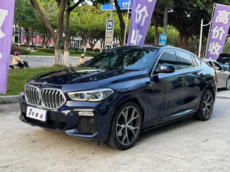 BMW X6
