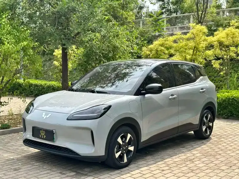Wuling Bingo PLUS