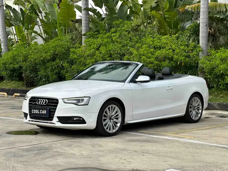 Audi A5 (Import)