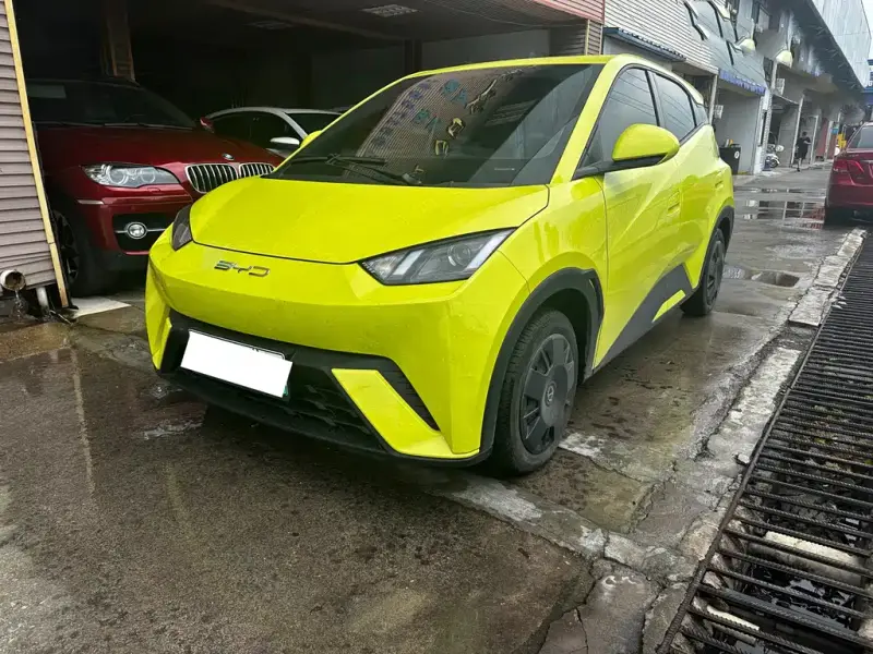 BYD Seagull