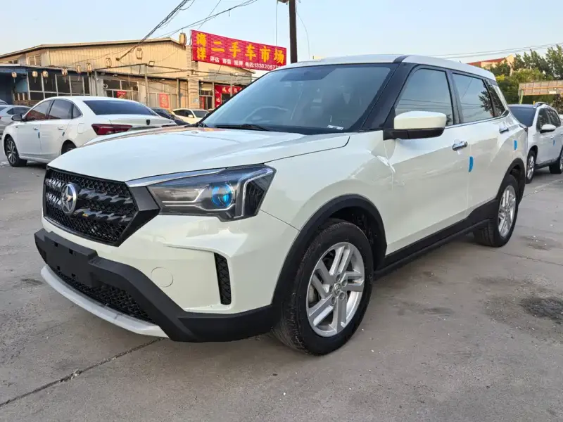 Venucia T60