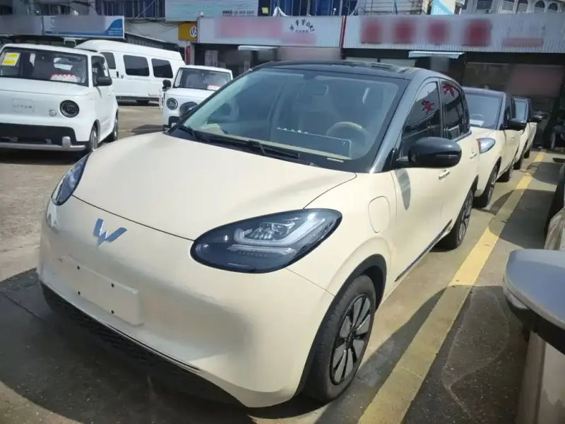 Wuling Bingo