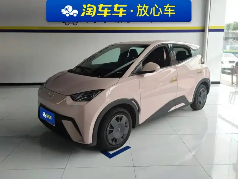 BYD Seagull