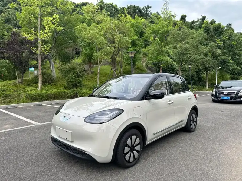 Wuling Bingo