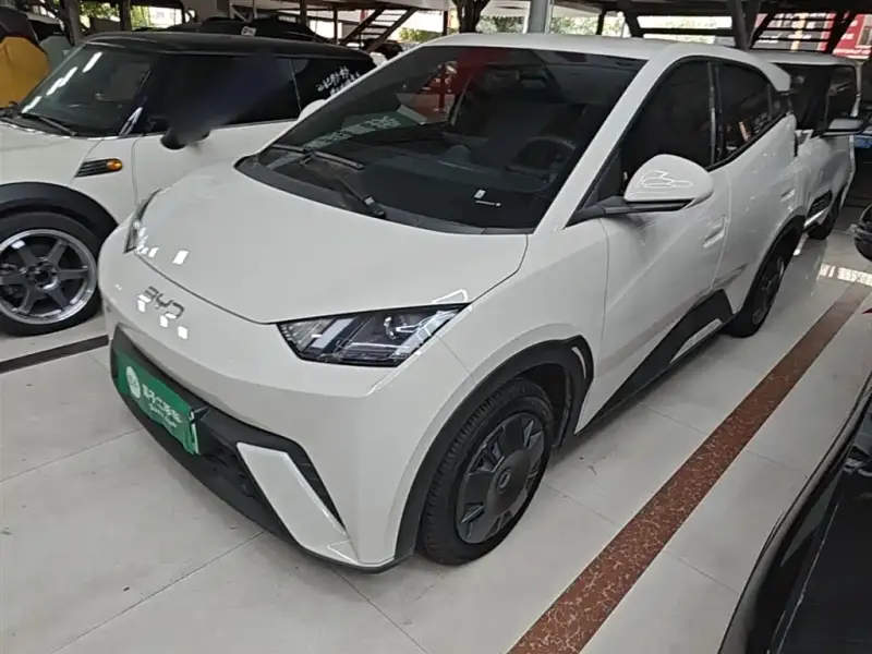 BYD Seagull