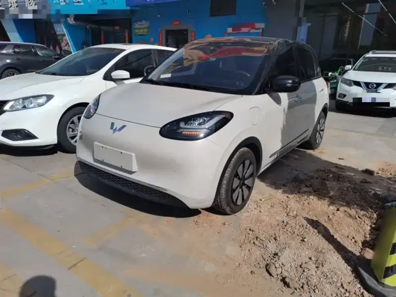 Wuling Bingo
