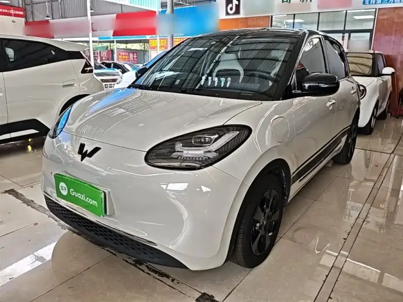 Wuling Bingo