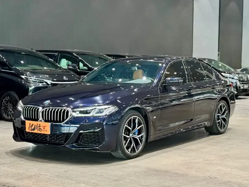 BMW 5 Series (Import)